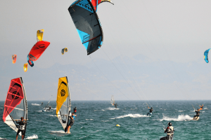 martin-kite